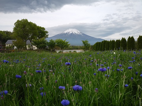 2018/05/13の写真