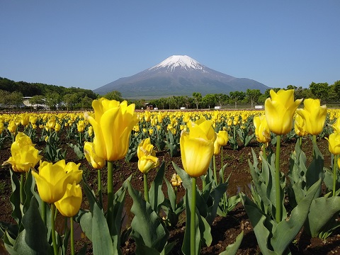 2018/05/15の写真