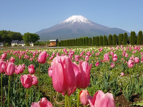 2018/05/15の写真