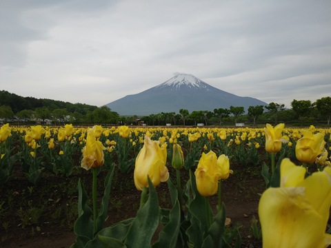 2018/05/17の写真