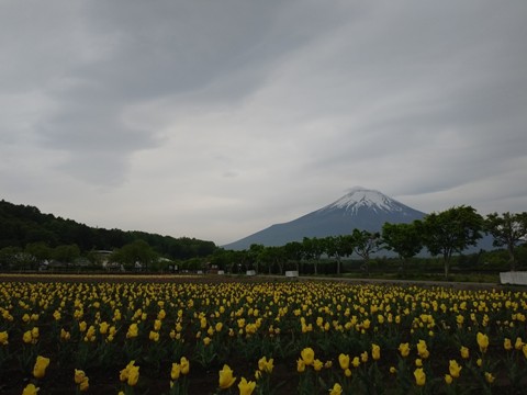 2018/05/17の写真