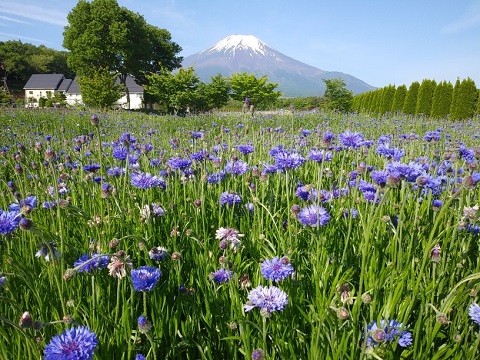 2018/05/22の写真