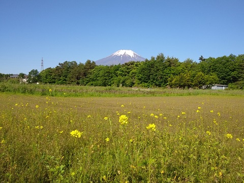 2018/06/03の写真