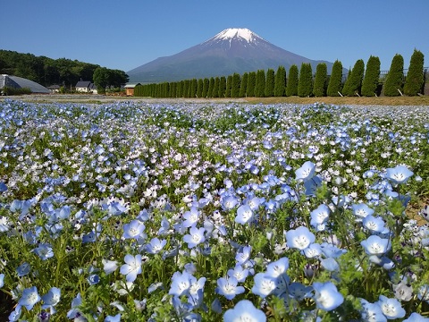 2018/06/03の写真