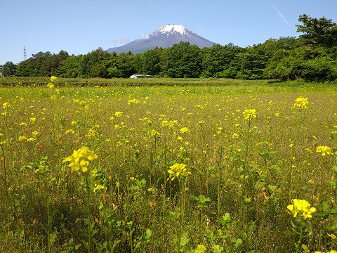 2018/06/08の写真