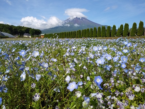 2018/06/09の写真