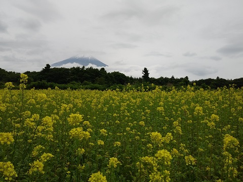 2018/06/15の写真