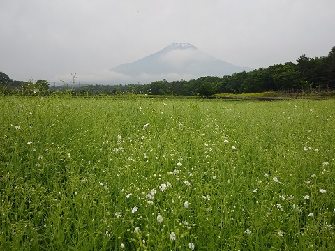 2018/06/23の写真