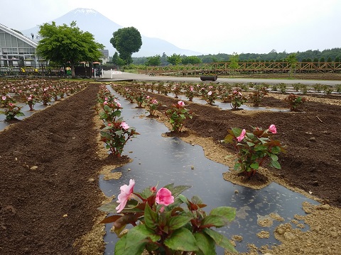 2018/06/23の写真