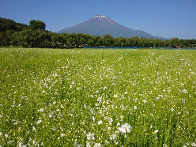 2018/06/25の写真