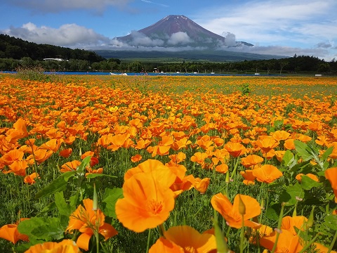 2018/06/30の写真