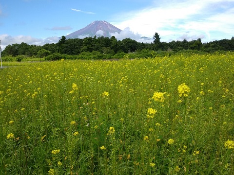 2018/06/30の写真