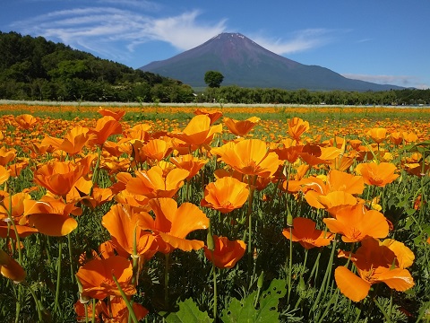 2018/07/02の写真