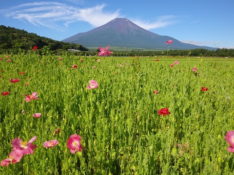 2018/07/02の写真