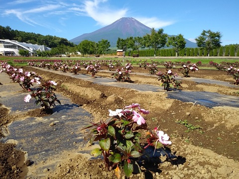2018/07/02の写真