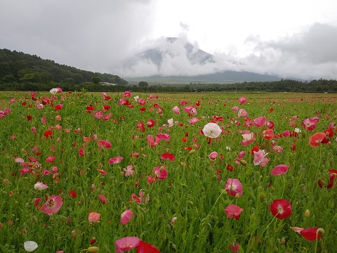 2018/07/07の写真