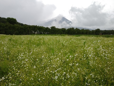 2018/07/07の写真