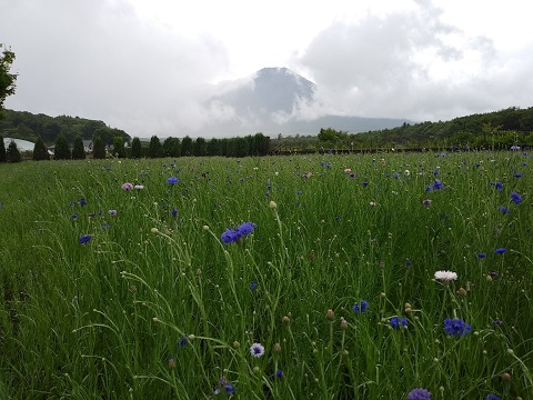 2018/07/07の写真