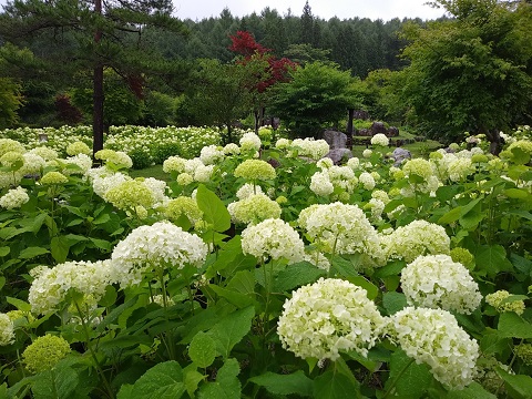 2018/07/07の写真