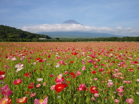 2018/07/14の写真