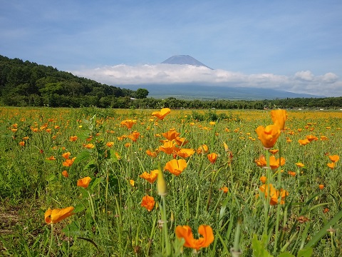 2018/07/14の写真