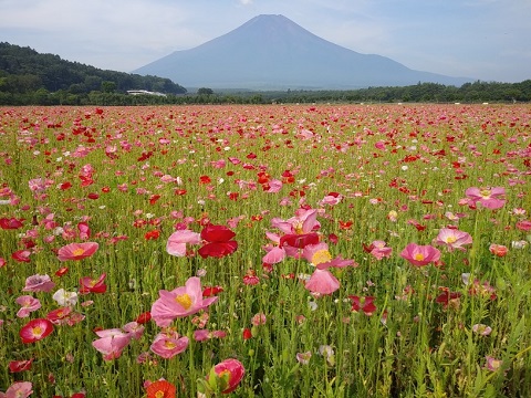 2018/07/16の写真