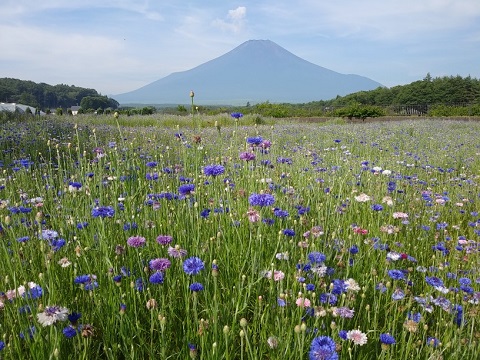 2018/07/16の写真