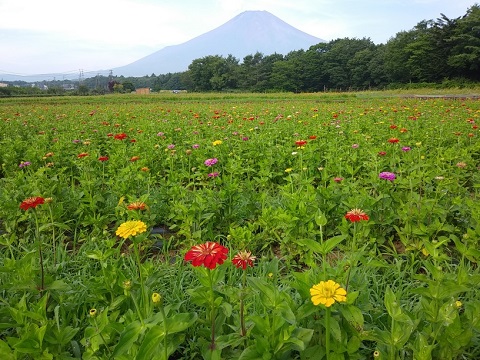 2018/07/16の写真