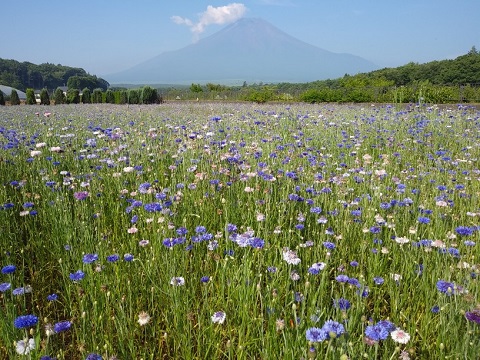 2018/07/18の写真