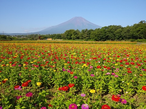 2018/07/21の写真