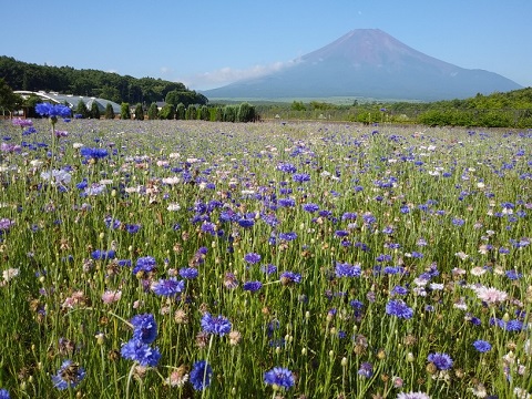 2018/07/21の写真