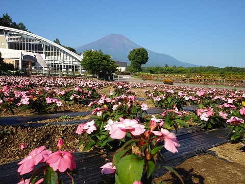 2018/07/21の写真