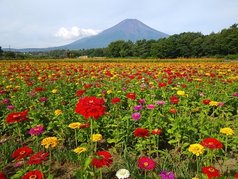 2018/07/23の写真