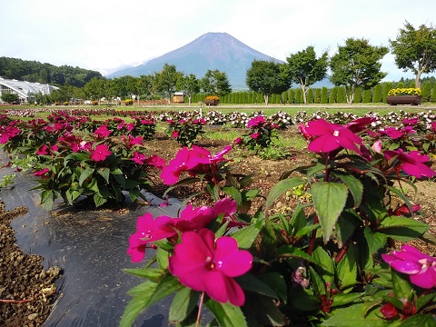 2018/07/23の写真