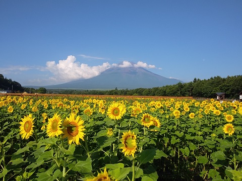 2018/08/01の写真