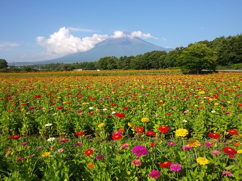 2018/08/01の写真