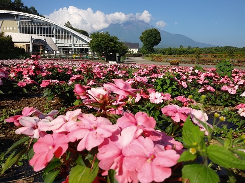 2018/08/01の写真