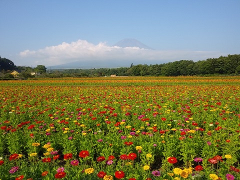 2018/08/03の写真