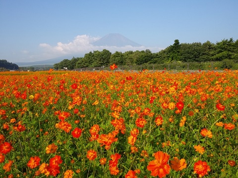 2018/08/03の写真