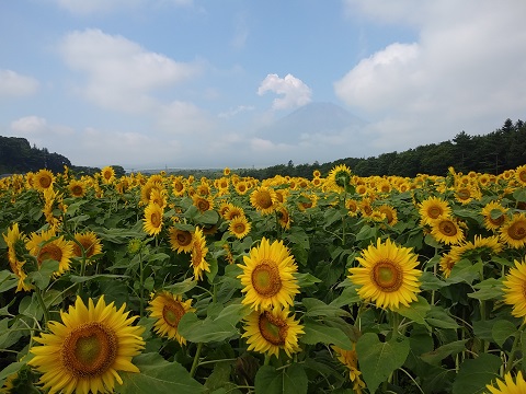 2018/08/05の写真