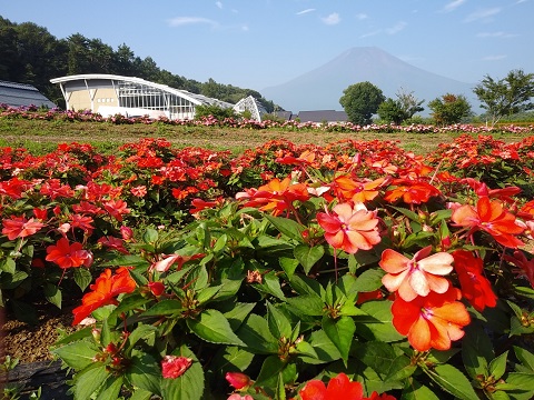 2018/08/06の写真