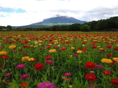 2018/08/09の写真