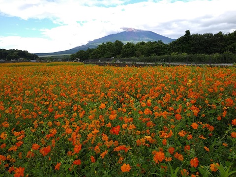 2018/08/09の写真