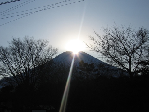 2011/01/19の写真