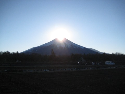 2011/12/11の写真