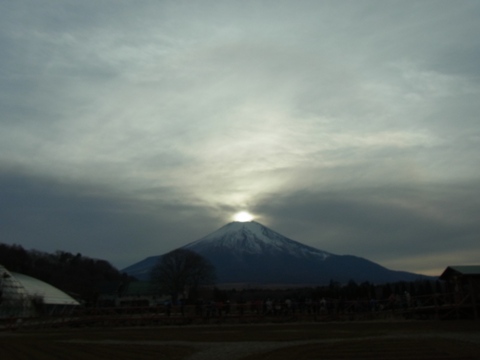 2012/01/15の写真