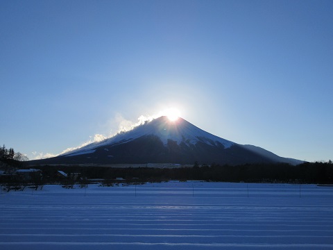 2017/01/12の写真