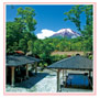紅富士の湯